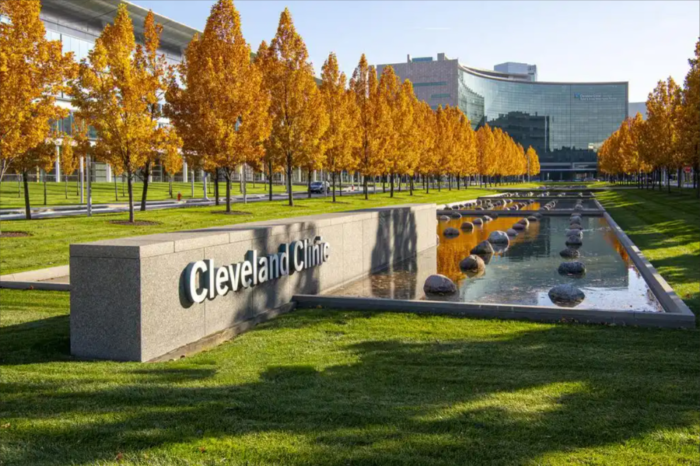 去美国、日本、德国等国家看病各有什么优势？