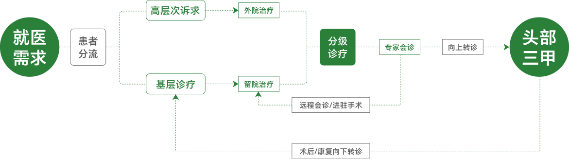 患者分流流程图